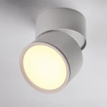 Накладной потолочный светильник Lightstar Acuto 215886 (LED, 220V, круглые, IP44)