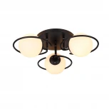 Потолочная люстра ST Luce Galio SL418.402.03