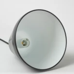 Подвесной светильник Lussole Jenkins LSP-7311 (220V, на проводе)