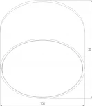 Потолочный светильник уличный Light 35144/H (220V, IP54)