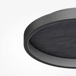 Потолочный светильник круглый Maytoni Orign MOD311CL-L40B3K (LED, 220V, круглые)