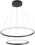 Подвесной светильник Zortes Ringolight ZRS.33321.63C (LED, 220V, на тросе)