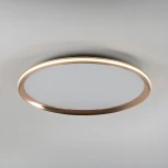 Потолочный светильник светодиодный с пультом с регулировкой цветовой температуры LED4U LED4U L3020-500 GD