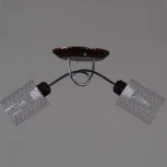 Потолочная люстра Reluce 32298-0.3-02 (220V)