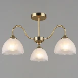 Потолочная люстра на штанге Reluce 06591-0.3-03 COP (220V)