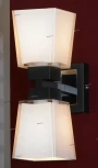 Настенный светильник Lussole Lente LSC-2501-02 (220V, IP21)