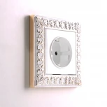 Розетка с заземлением (белый) Werkel W1171001 (a051127)