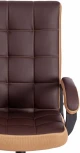 Кресло TRENDY (22) кож/зам/ткань, коричневый/бронзовый, 36-36/21 Tetchair 19516