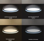 Потолочный светильник Seven Fires Лагом 48203.40.72.77BK-BK