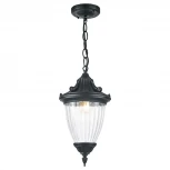 Уличный светильник подвесной Feron Вильнюс 41166 (220V, на цепи, круглые, IP44)