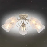 Потолочная люстра Omnilux Orune OML-53007-05