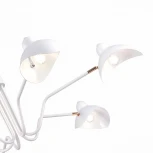 Потолочная люстра на штанге ST Luce Minne SL1801.513.06 (220V)