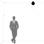 Потолочный светильник круглый Lightstar Globo 812021 (220V, шар)