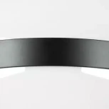 Потолочный светильник круглый Lightstar Globo 812117 (220V, шар)