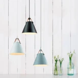 Подвесной светильник Lumion Darren 3721/1