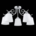 Потолочная люстра Evoluce Liada SLE103902-05