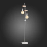 Торшер Evoluce Bagetti SL1142.505.01 (220V)