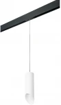 Трековый светильник однофазный 220V Lightstar Rullo PRORP48636 (круглые)