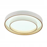 Потолочный светодиодный светильник круглый MyFar Rhea MR9161-CL (регулировка яркости, 220V, пульт управления, круглые)