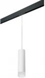 Трековый светильник однофазный 220V Lightstar Rullo PRORP649681 (круглые)