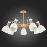 Потолочная люстра Evoluce Balcamo SLE103802-07 (220V)