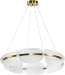 Подвесной светильник LED Zortes Mon ZRS.1210.80 (220V, на тросе, круглые)