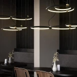 Подвесной кольцевой светильник Planetary D30+40 ImperiumLoft Planetary01 (101913-26) (LED, 220V, на тросе)