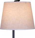 Торшер со столиком Reluce 02223-2.6-01 BK