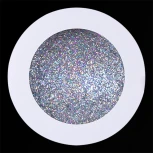 Встраиваемый точечный светильник светодиодный Reluce 67916-9.0-001RD LED16W WT+SV (220V, круглые)