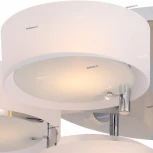 Потолочная люстра ST Luce Foresta SL483.502.09