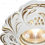 Встраиваемый точечный светильник Arte Lamp Occhio A5285PL-1SG (220V)