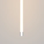 Торцевая металлическая заглушка Nemo серебро Maytoni Круглый 360° 20316