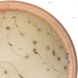 Настенно-потолочный светильник Toplight Karissa TL9650Y-00PN