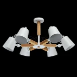 Потолочная люстра MW-Light Форест 693011106