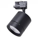 Трековый светильник Lightstar Canno 301572