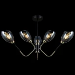 Потолочная люстра на штанге ILLUMICO IL9960-6CSQ-79 BK AB (220V)