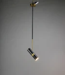 Подвесной светильник Zortes Tweeny ZRS.1828.30