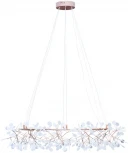 Подвесная люстра Loft IT Heracleum 9022-243