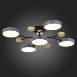 Потолочная люстра на штанге Evoluce Faema SLE6006-702-05