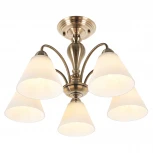 Потолочная люстра MyFar Anna MR1451-5C (220V)