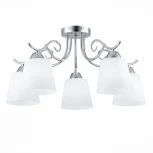 Потолочная люстра Evoluce Liada SLE103902-05