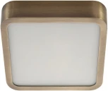 Точечный светильник светодиодный AM Group AM295 AM295 12W AB 3000K S (220V)