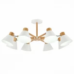 Потолочная люстра Evoluce Buve SLE103702-08