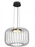 Подвесной светильник Freya Citrus FR5398PL-L8B (LED, 220V, на проводе, клетка)