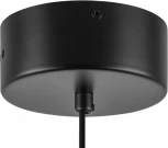 Подвесная люстра Lightstar Bolla 734057 (LED, 220V, на проводе, шар)