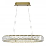 Подвесной светильник ST Luce Tivoli SL1622.323.01 ST-Luce Латунь/Прозрачный LED 1*60W (220V, на тросе)