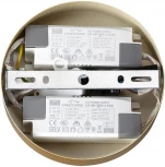 Подвесной светильник светодиодный Lumion Parker 6564/60L LEDIO золотой//металл/ LED 4000K 60W 220V (на проводе)