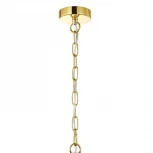 Подвесная люстра Favourite Anima 2812-6P