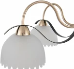 Потолочная люстра на штанге Arte Milano Napoli 327306/5 FG+BK (220V)