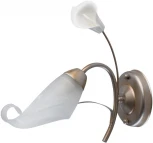 Бра MW-Light Восторг 242026601 (220V, цветы)